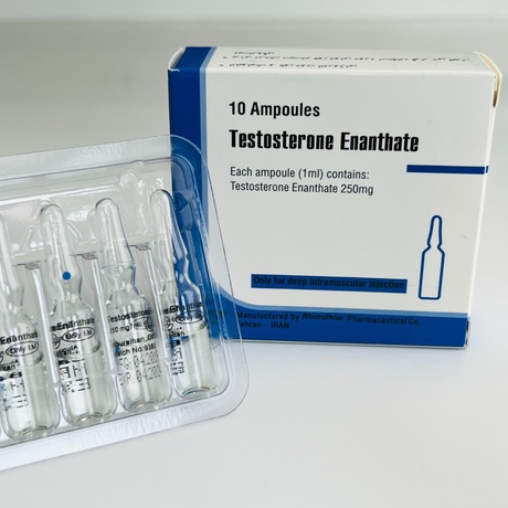 Фото 2 - Тестостерону Енантат Абурайхан (Testosterone Enanthate Aburaihan) 250мг 1мл